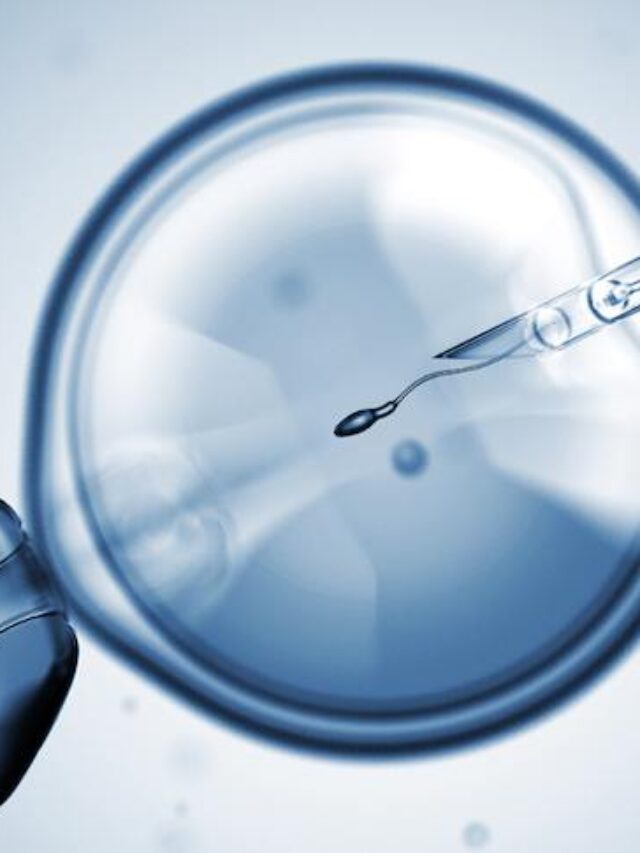 IVF Treatment Cost in Indore