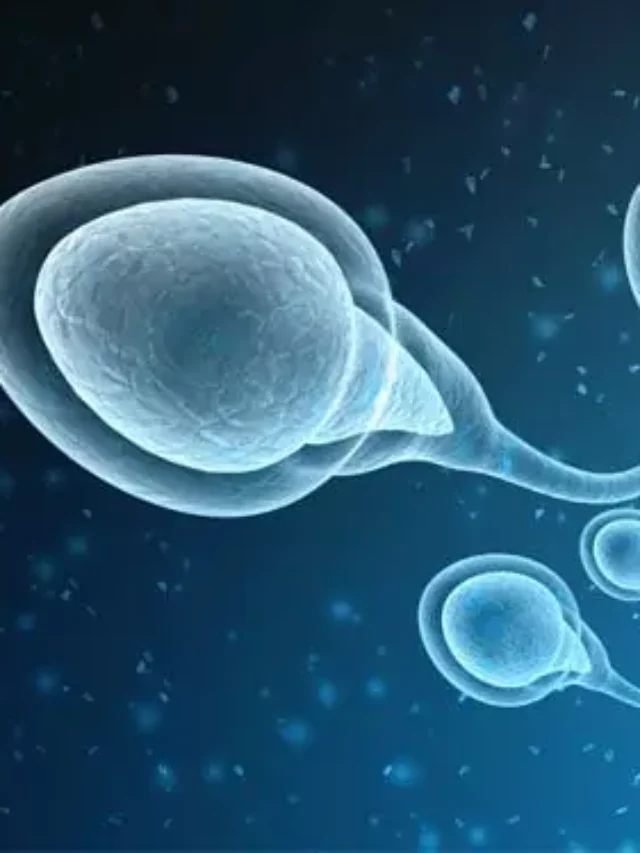How to Improve Sperm Health Naturally
