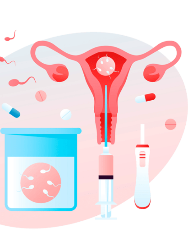 Stages of ivf :Best IVF Center in Indore