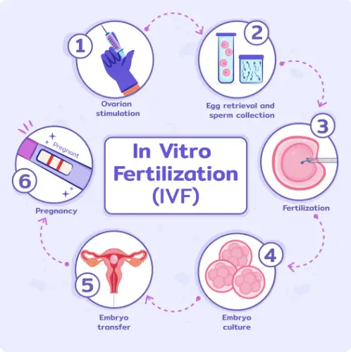 success rate of the second IVF cycle after one failed cycle 