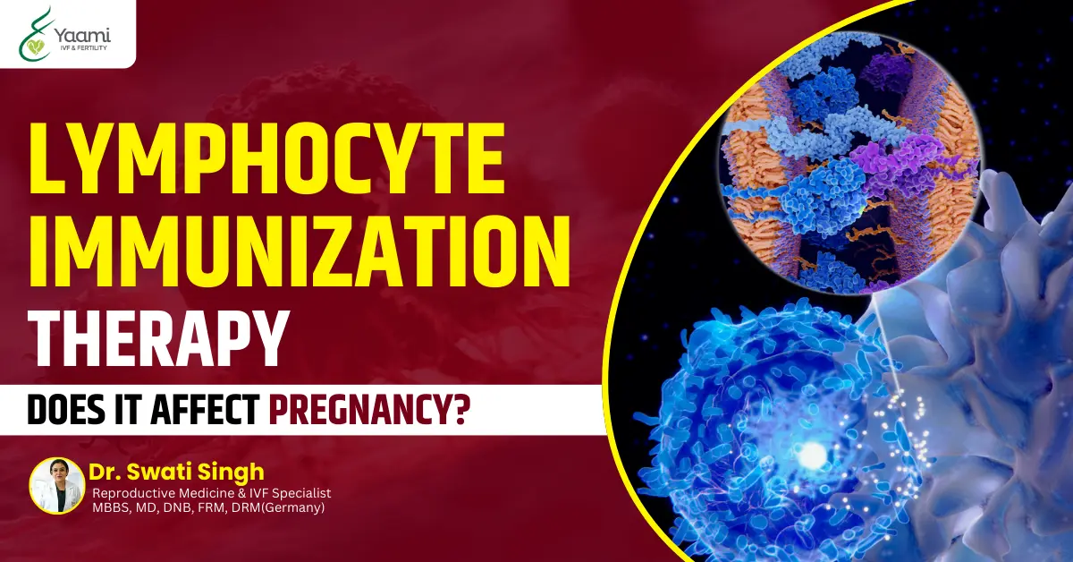 How Does Lymphocyte Immunization Therapy Affect Pregnancy