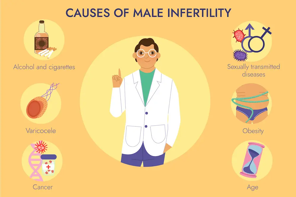 पुरुष निःसंतानता क्या है? (What is Male Infertility in Hindi)