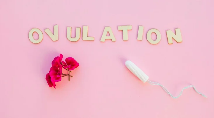 Ovulation Kya h or Ovulation Kab Hota Hai?