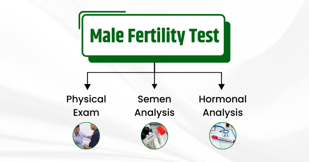 Male Fertility Test