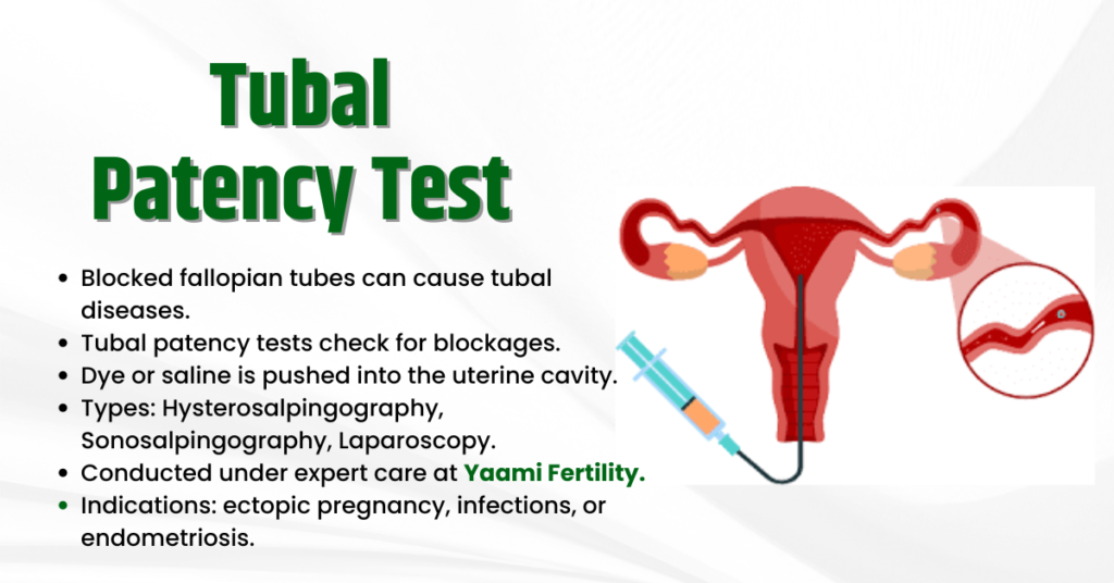 Tubal Patency Test