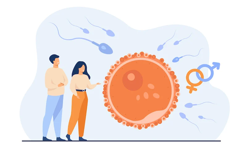 पीरियड के कितने दिन बाद आईवीएफ(IVF) होता है? - Yaami IVF 1 IVF कब करना चहिये