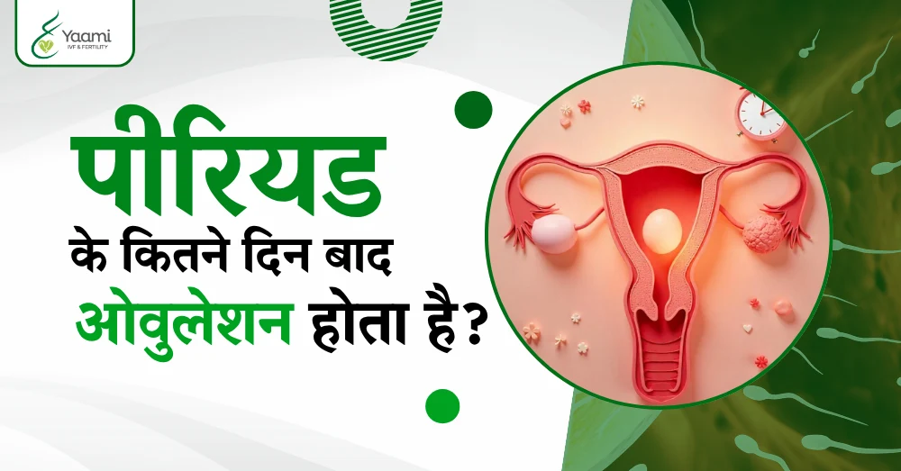 Home Page 26 पीरियड के कितने दिन बाद ओवुलेशन होता है?