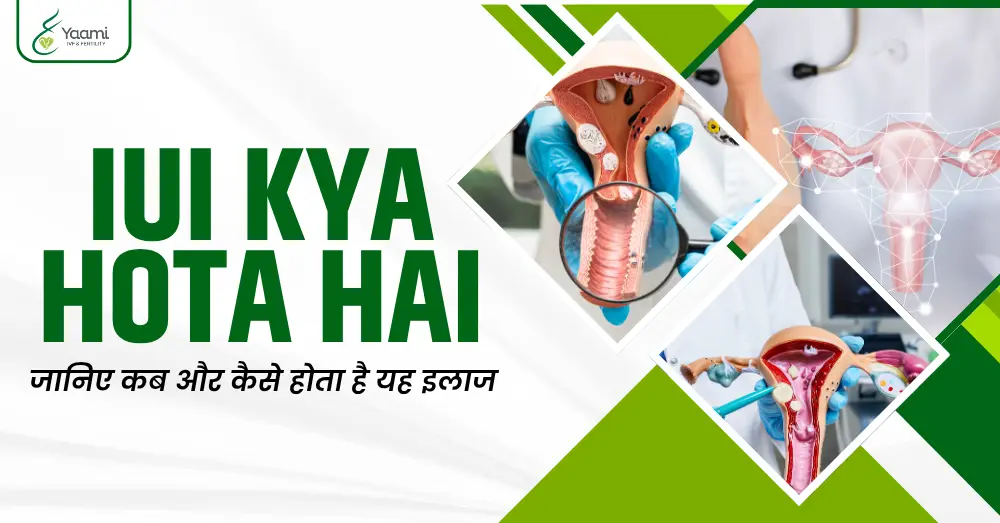 iui kya hota hai