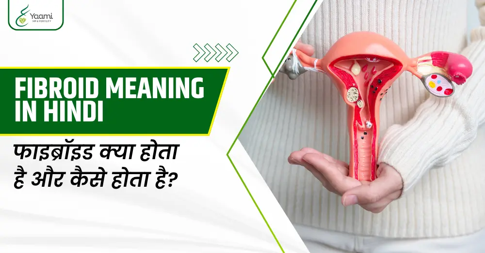 Fibroid Meaning in Hindi