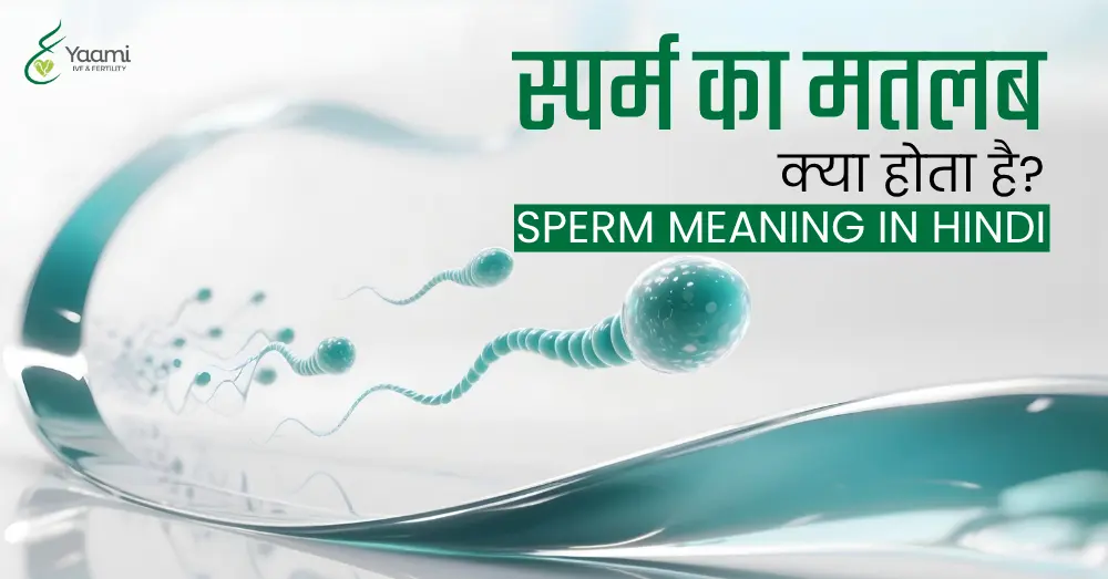 स्पर्म का मतलब क्या होता है? | Sperm Meaning in Hindi