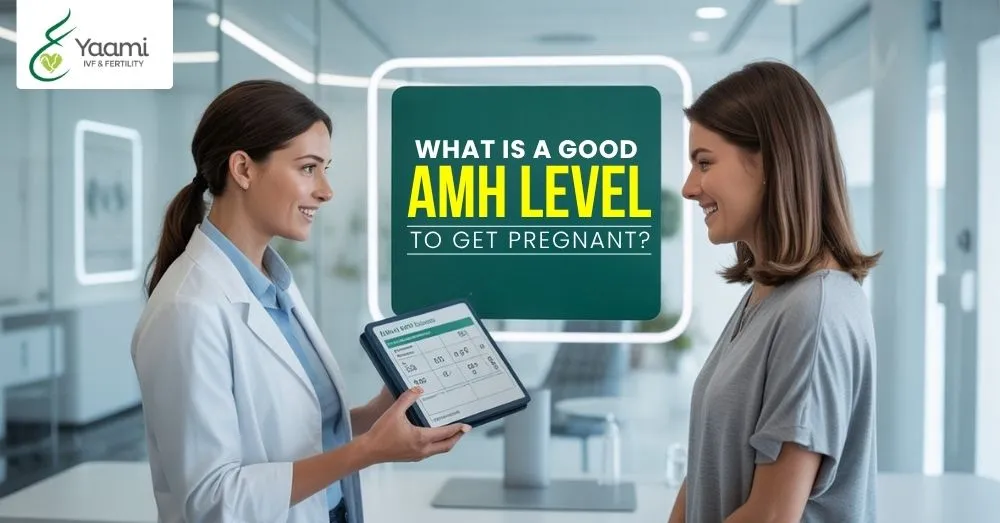 What is a Good AMH Level to Get Pregnant?