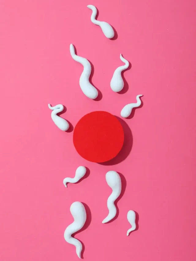 Sperm Meaning in Hindi – जानिए “स्पर्म / शुक्राणु” का अर्थ