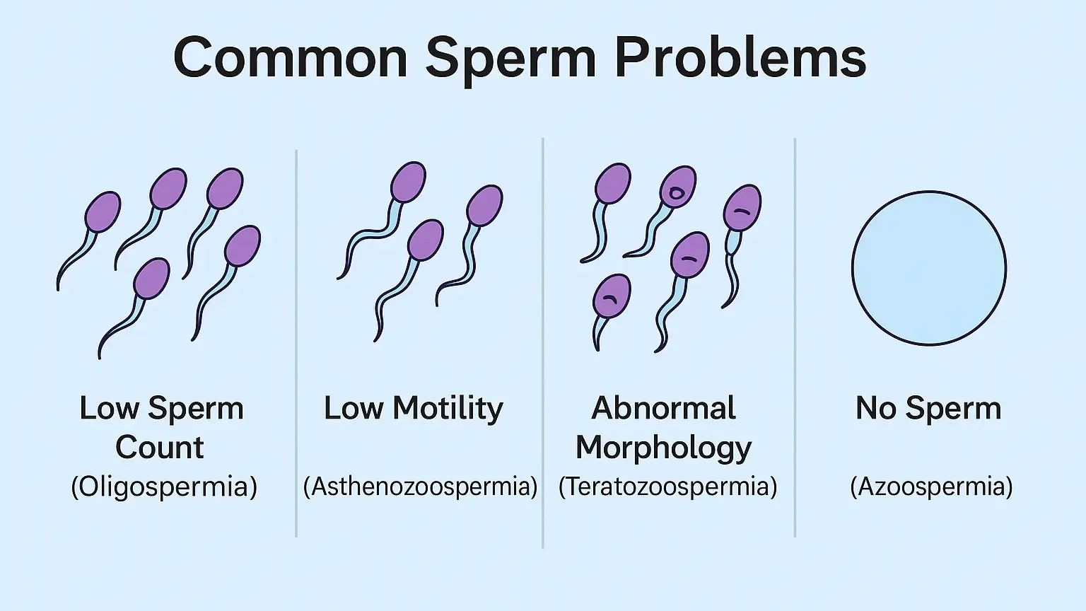 sperm in hindi meaning -Common Sperm Problems