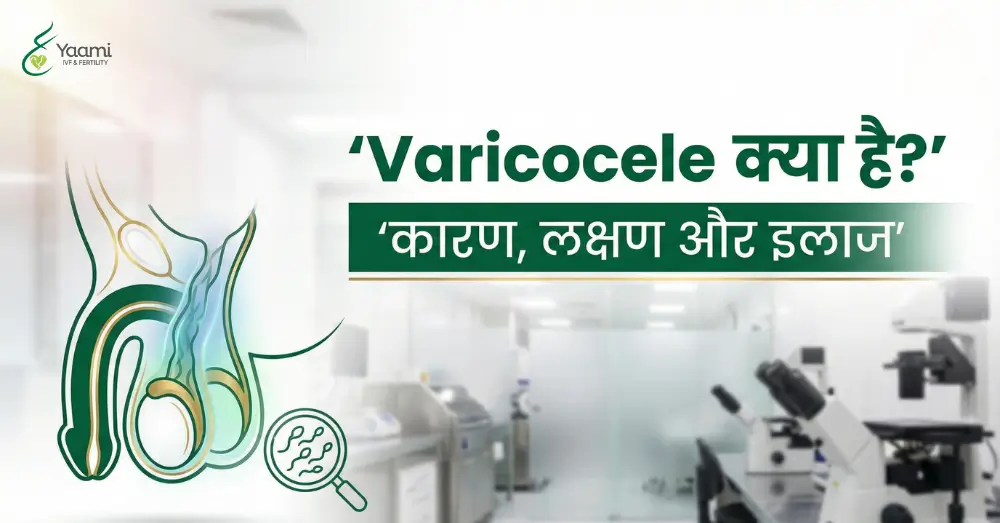What is Varicocele in Hindi