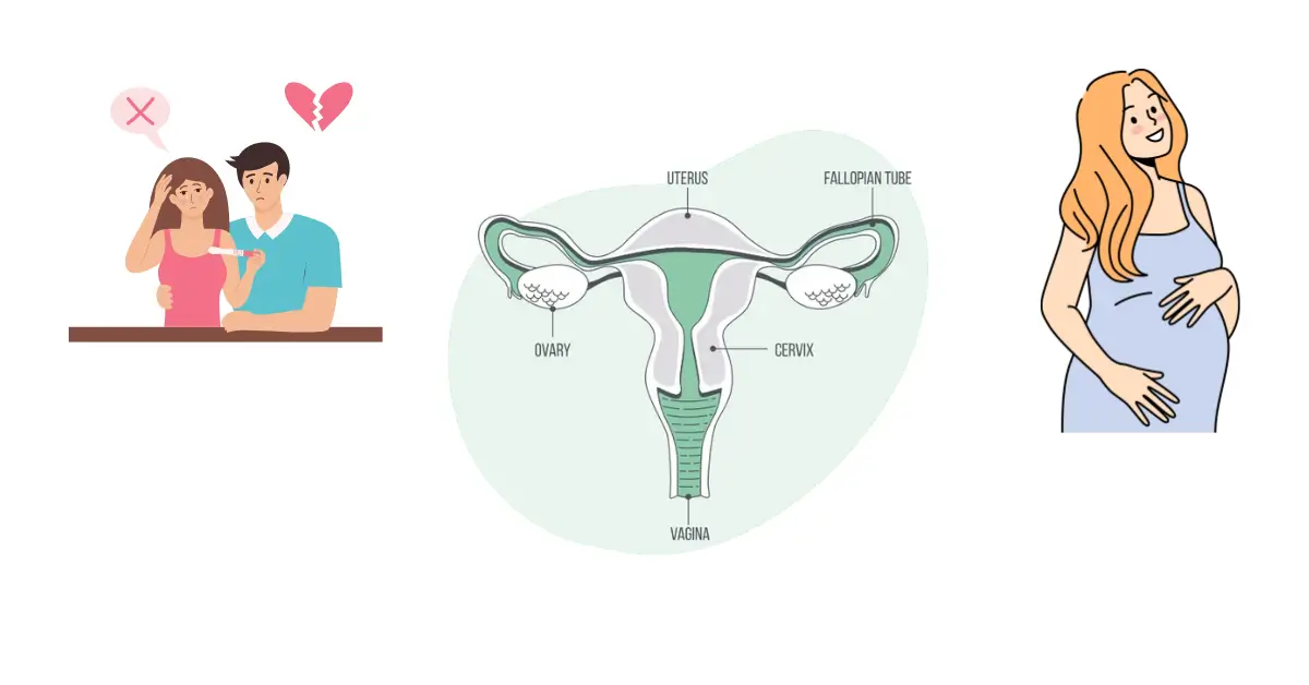 Couple searching for follicular monitoring test in indore