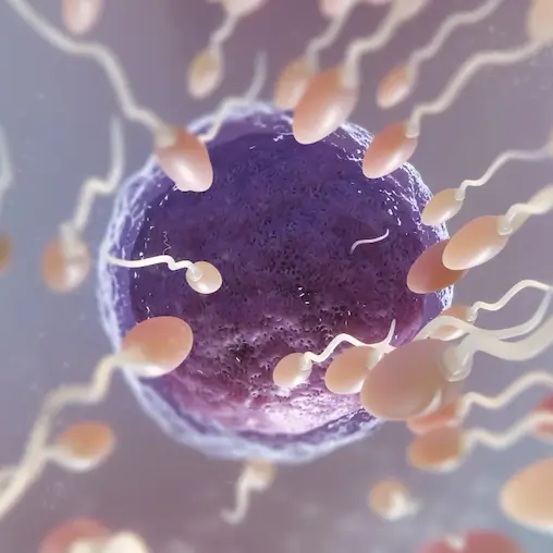 Home Page 10 low sperm count