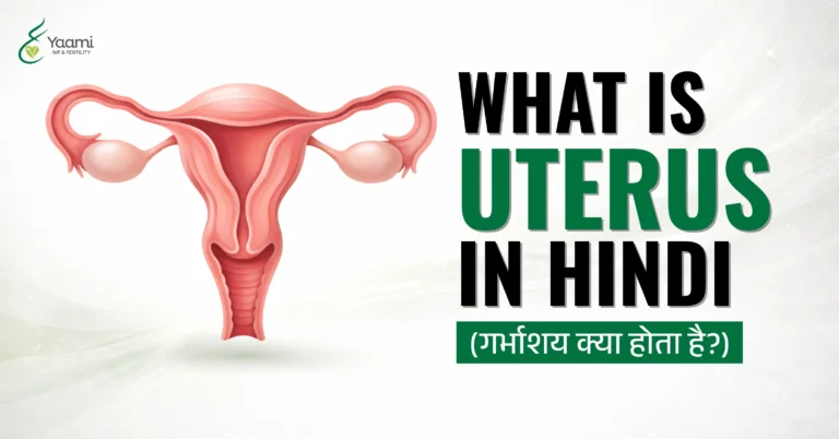 uterus in hindi
