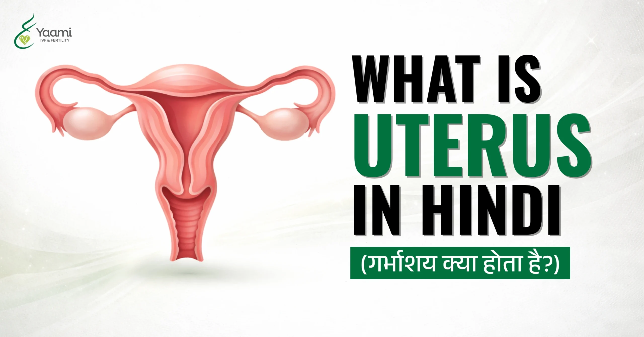 uterus in hindi