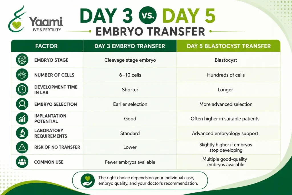 Day 3 vs. Day 5 Embryo Transfer: Understanding the Embryology Lab Timeline 3 Difference between Day 3 vs. Day 5 Embryo Transfer