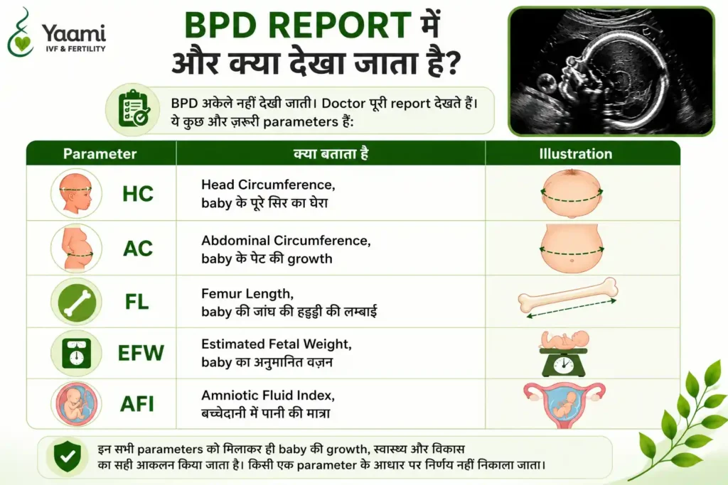 BPD in Pregnancy in Hindi – BPD का मतलब, Full Form और Normal Range 3 BPD Report में और क्या देखा जाता है?